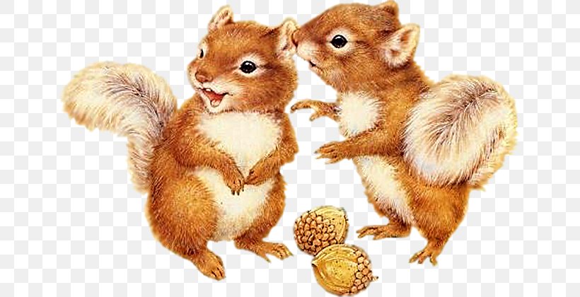 Flying Squirrel Chipmunk Clip Art, PNG, 650x420px, Squirrel, Animal, Animated Film, Blog, Chipmunk Download Free