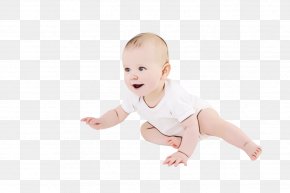 Piratini Walker Children's Music PNG