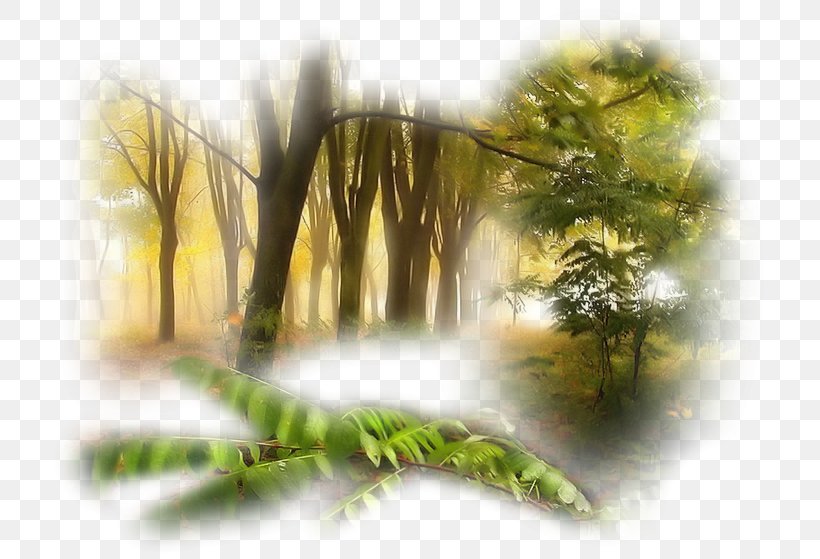 Image Painting Season Clip Art, PNG, 739x559px, 2018, Painting, Autumn, Branch, Grass Download Free