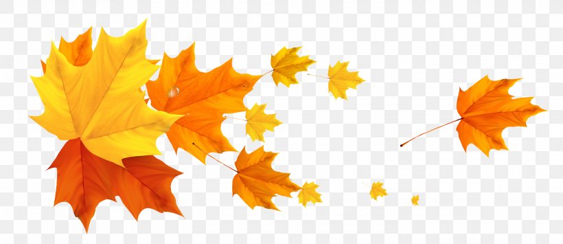 Autumn Clip Art, PNG, 2900x1256px, Toronto Maple Leafs, Autumn, Autumn Leaf Color, Color, Flowering Plant Download Free