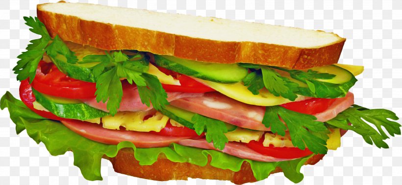 Fast Food Food Cuisine Dish Submarine Sandwich, PNG, 2999x1383px, Fast Food, Blt, Bocadillo, Cuisine, Dish Download Free