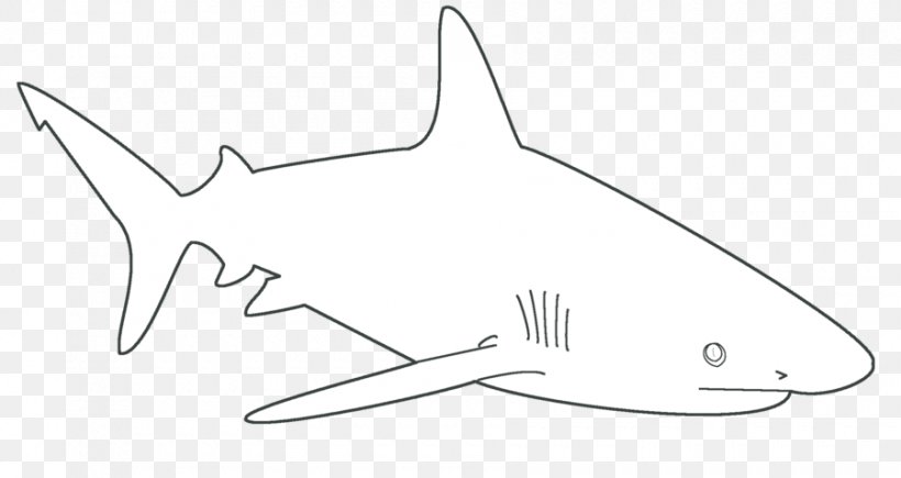 Great White Shark Template Blue Shark Shark Finning, PNG, 900x478px, Shark, Blacktip Shark, Blue Shark, Carcharodon, Cartilaginous Fish Download Free