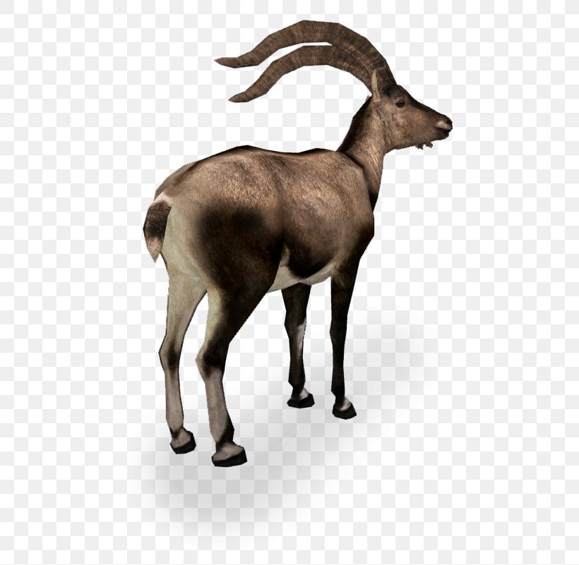 Zoo Tycoon 2 Goat Antelope Deer Pyrenean Ibex, PNG, 510x801px, Zoo Tycoon 2, Animal, Antelope, Antler, Caprinae Download Free