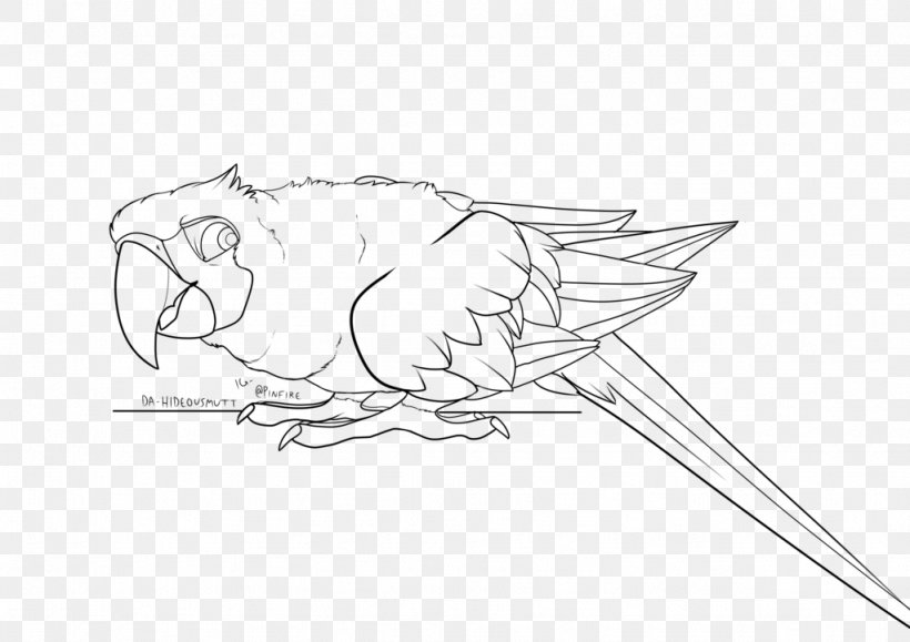Beak DeviantArt Macaw Sketch, PNG, 1024x724px, Beak, Art, Artist, Artwork, Bird Download Free