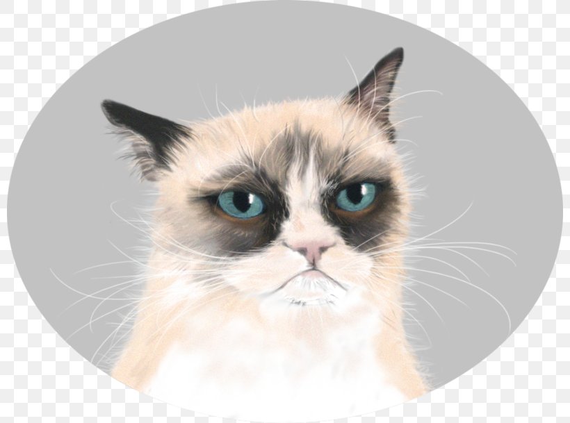 Grumpy Cat Manx Cat Kitten Desktop Wallpaper, PNG, 800x609px, Watercolor, Cartoon, Flower, Frame, Heart Download Free