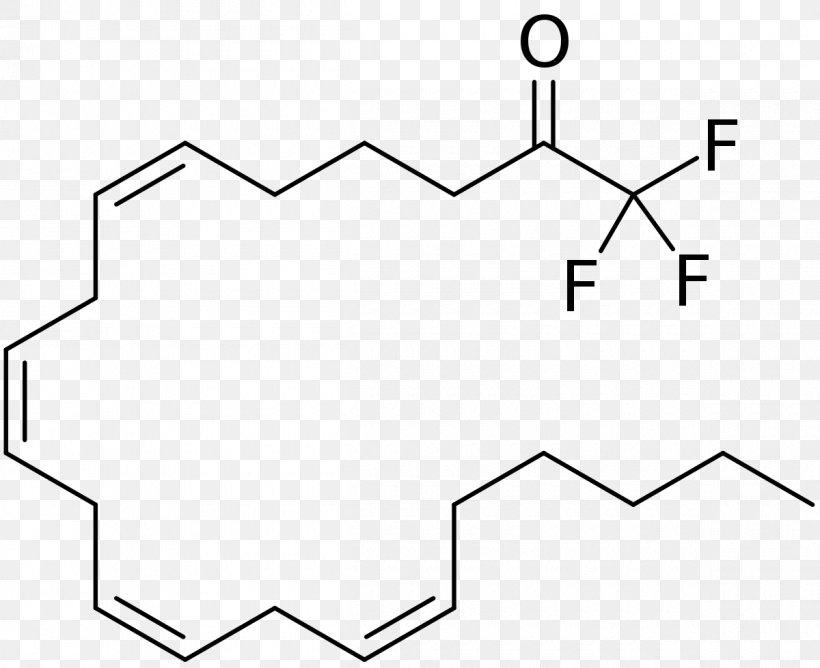 Eicosapentaenoic Acid Mead Acid Omega-3 Fatty Acids, PNG, 1200x979px, Eicosapentaenoic Acid, Acid, Arachidonic Acid, Area, Black Download Free