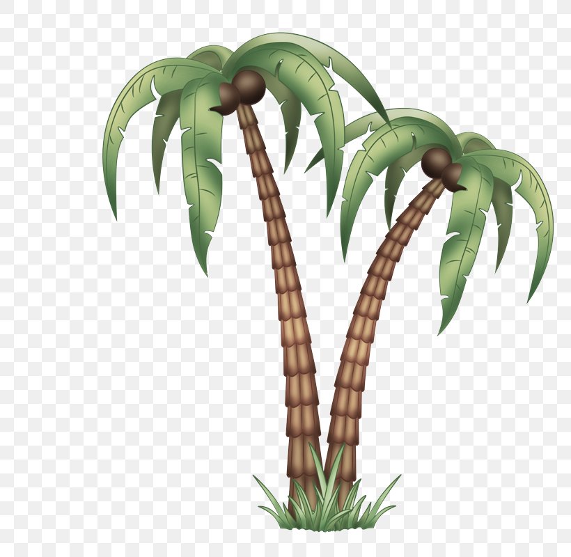 Palm Tree, PNG, 800x800px, Plant, Flower, Flowerpot, Houseplant, Leaf Download Free