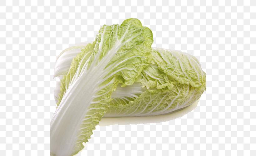 Romaine Lettuce Choy Sum Savoy Cabbage Chinese Cabbage Vegetable, PNG, 500x500px, Romaine Lettuce, Bok Choy, Cabbage, Chinese Cabbage, Choy Sum Download Free