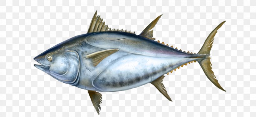 Thunnus Mackerel Swordfish Oily Fish International Trade, PNG, 1200x550px, Thunnus, Biology, Bonito, Bony Fish, Fauna Download Free