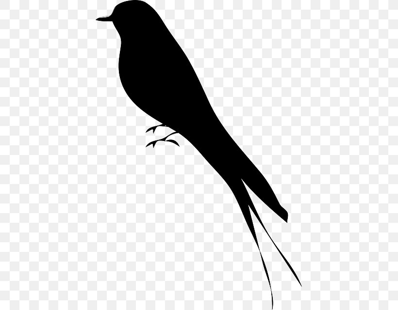 Bird Silhouette Drawing Clip Art, PNG, 425x640px, Bird, Art, Beak, Black And White, Branch Download Free