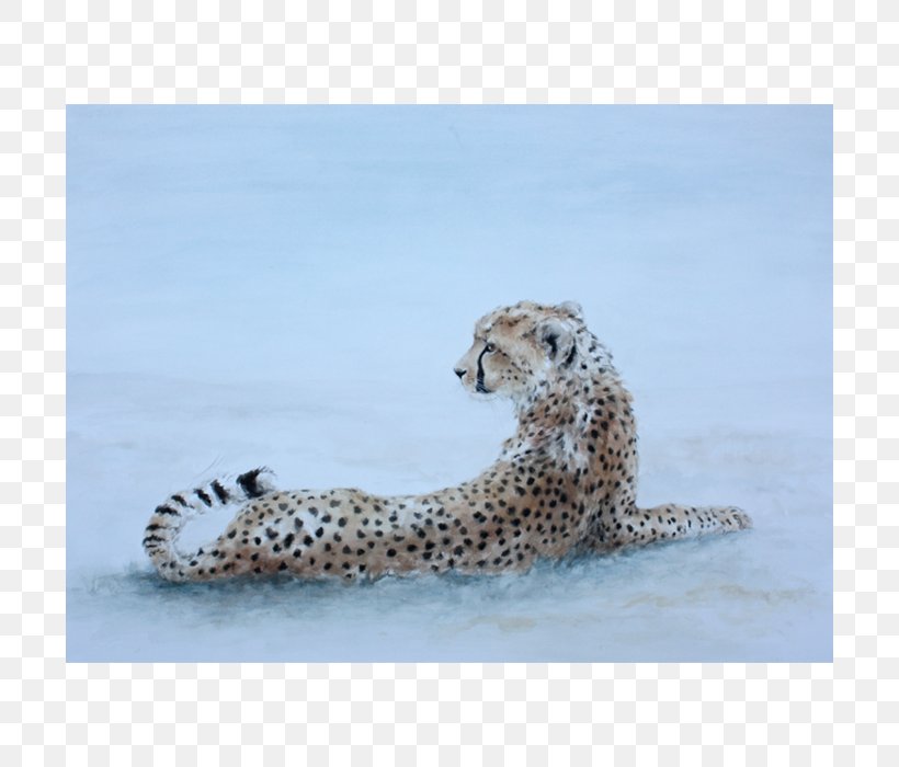 Cheetah Paper Drawing Printmaking Art, PNG, 700x700px, Cheetah, Art, Art Museum, Artist, Big Cat Download Free