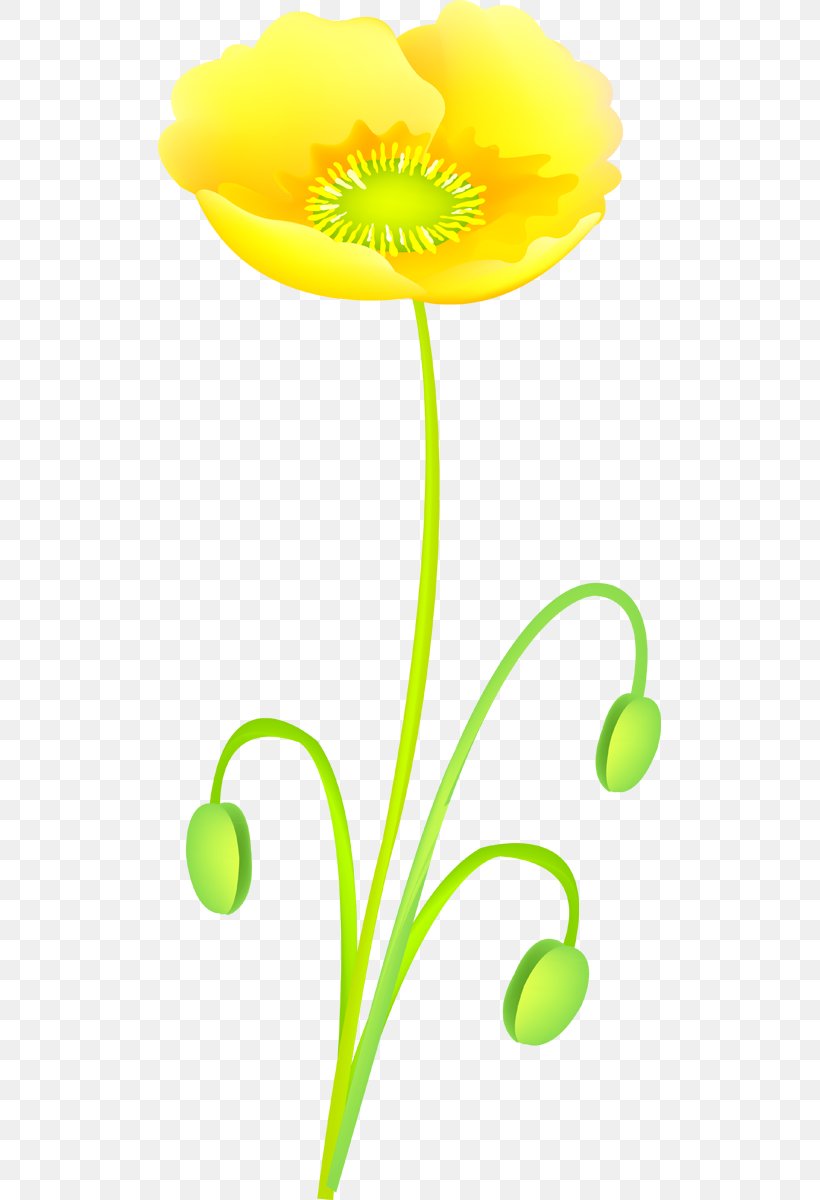 Clip Art Flowering Plant Plant Stem Plants, PNG, 503x1200px, Flowering Plant, Flora, Flower, Petal, Plant Download Free