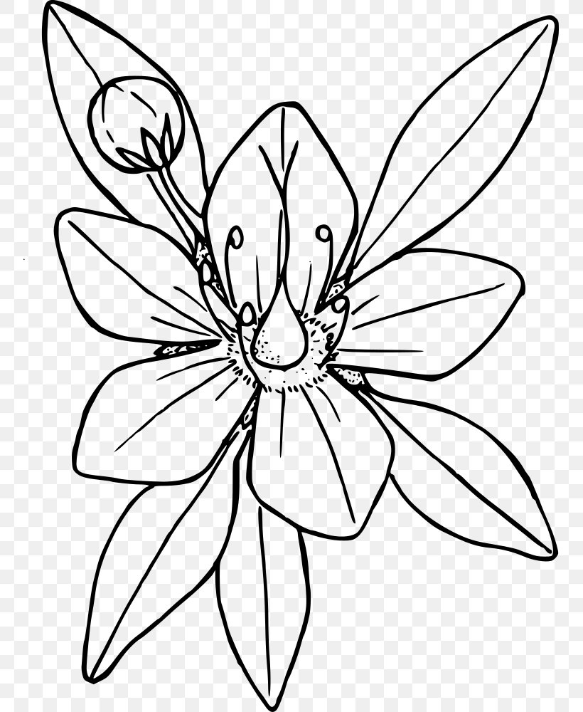 Coloring Book Flower Line Art Drawing, PNG, 753x1000px, Coloring Book, Adult, Area, Art, Artwork Download Free