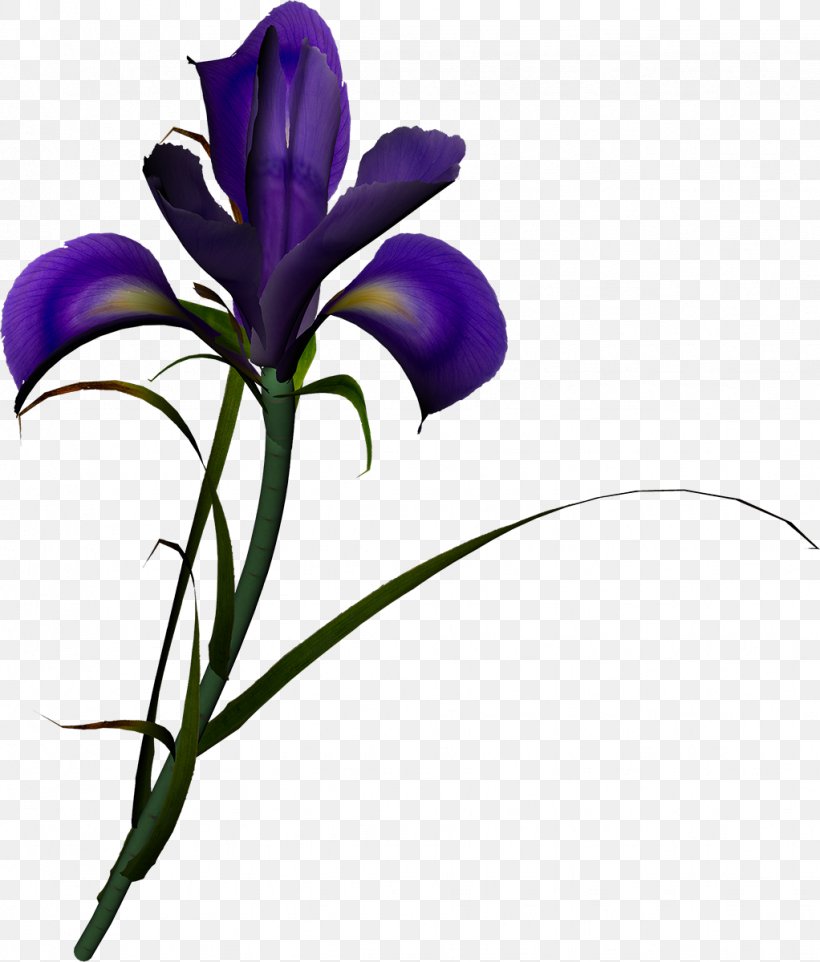 Flower Irises Poppy Clip Art, PNG, 1022x1200px, Flower, Bellflower Family, Cut Flowers, Flora, Flowering Plant Download Free