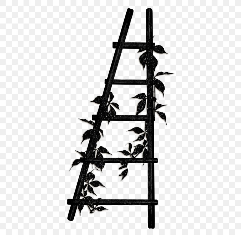 Ladder Wood Download, PNG, 398x800px, Ladder, Black And White, Drawing, Google Images, Monochrome Download Free