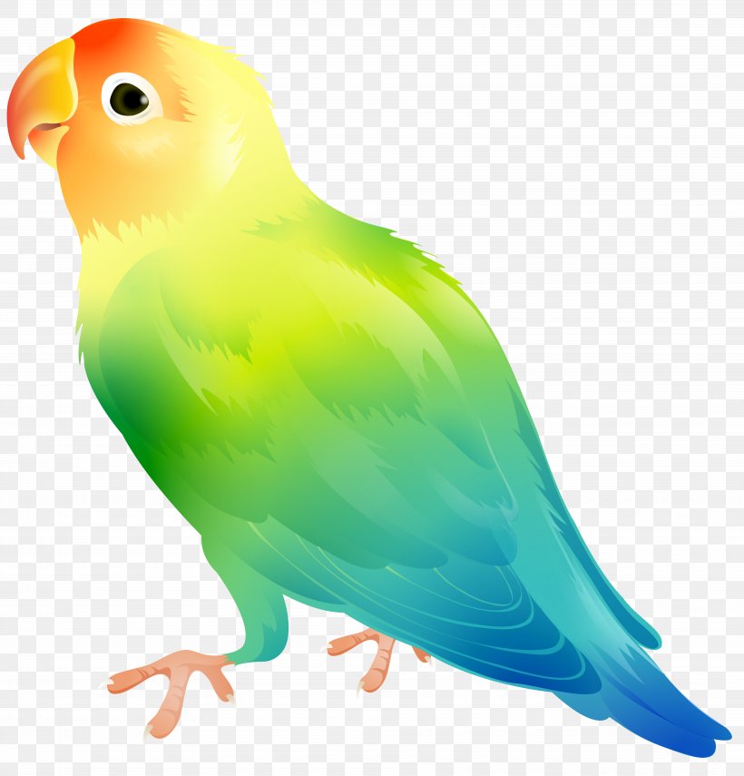 Lovebird Parrot Clip Art, PNG, 7670x8000px, Parrot, Beak, Bird, Budgerigar, Common Pet Parakeet Download Free