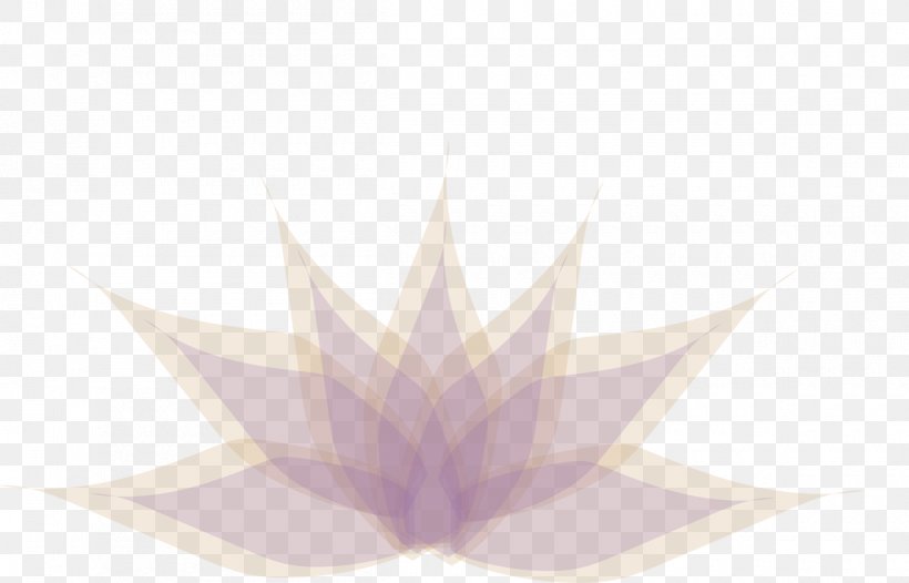 Purple Lilac Violet Leaf Desktop Wallpaper, PNG, 1200x771px, Purple, Computer, Leaf, Lilac, Petal Download Free