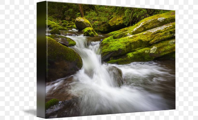 Roaring Fork Road Laurel Falls Trail National Park, PNG, 650x498px, National Park, Body Of Water, Chute, Creek, Gatlinburg Download Free