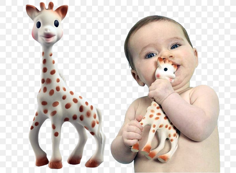 Sophie The Giraffe Teether Infant Child, PNG, 800x600px, Giraffe, Child, Diaper, Figurine, Finger Download Free