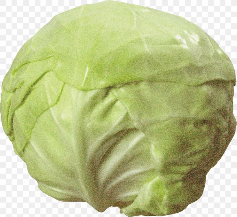 Cauliflower, PNG, 850x778px, Cabbage, Brussels Sprout, Cabbage Soup, Cabbage Soup Diet, Cauliflower Download Free