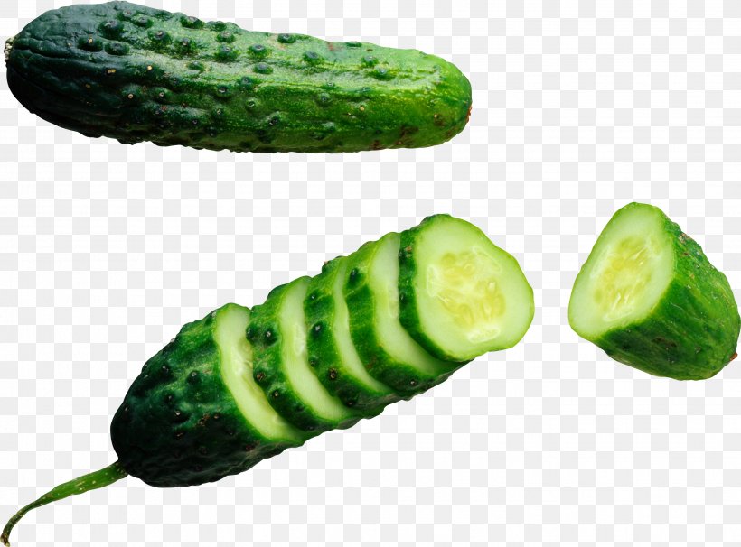 Cucumber Clip Art, PNG, 2887x2134px, Cucumber, Cornichon, Cucumber Gourd And Melon Family, Cucumis, Cultivar Download Free