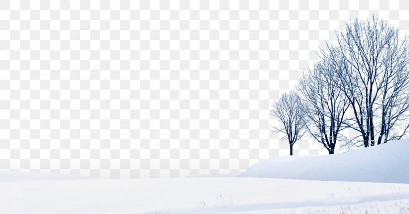 Daxue Hanlu Winter, PNG, 1133x595px, Daxue, Banner, Daytime, Freezing, Google Images Download Free