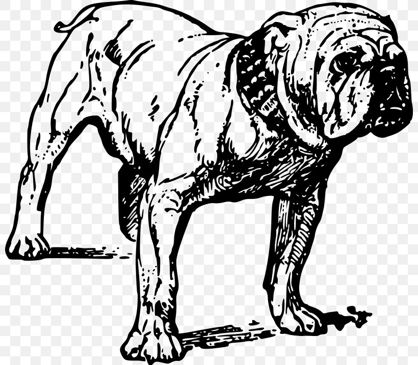 French Bulldog Alapaha Blue Blood Bulldog Puppy, PNG, 800x717px, Bulldog, Alapaha Blue Blood Bulldog, Art, Artwork, Big Cats Download Free