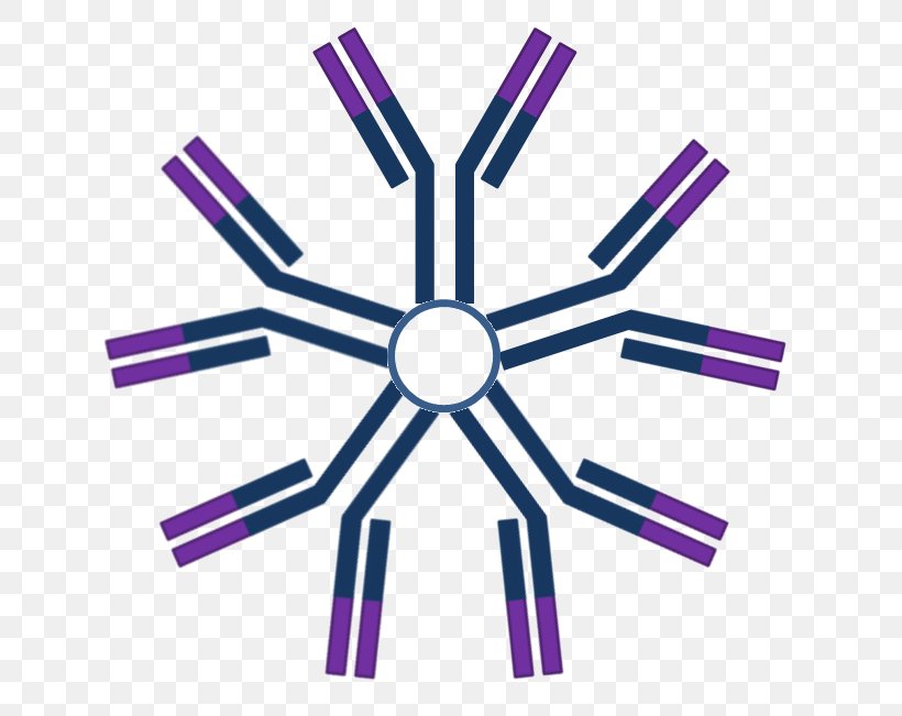 Immunoglobulin M Antibody Immunoglobulin A Immunoglobulin G Antigen, PNG, 711x651px, Immunoglobulin M, Antibody, Antigen, Area, B Cell Download Free