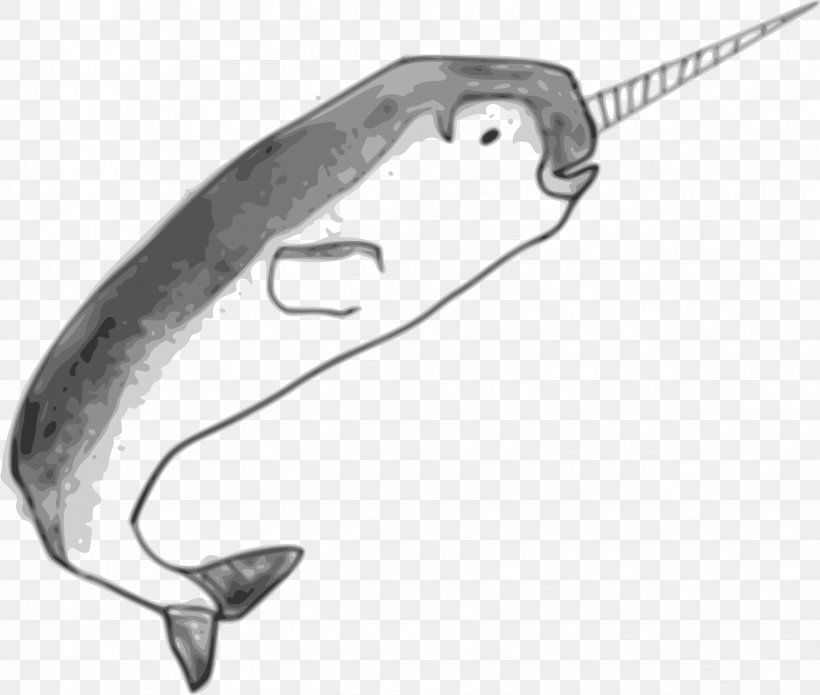 Narwhal Toothed Whale Drawing Clip Art, PNG, 1735x1471px, Narwhal, Animal, Bedding, Black And White, Body Jewelry Download Free