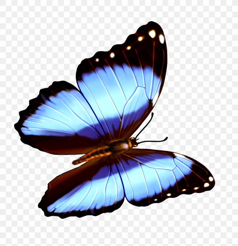 Butterfly Transparency And Translucency Wallpaper, PNG, 938x969px, 3d Computer Graphics, Butterfly, Arthropod, Brush Footed Butterfly, Butterflies And Moths Download Free