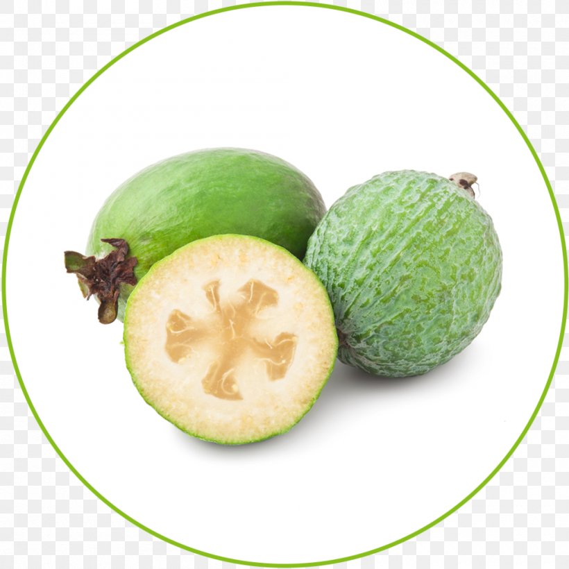 Feijoa Sapodilla Fruit Guava Food, PNG, 1000x1000px, Feijoa, Acca, Botany, Citron, Citrus Download Free