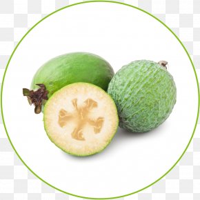 Feijoa - Feijoa Sapodilla Fruit Guava Food PNG