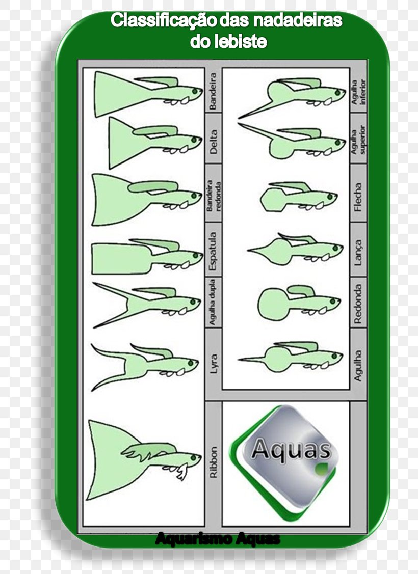 Design - Product Design Product Design Line Plants PNG