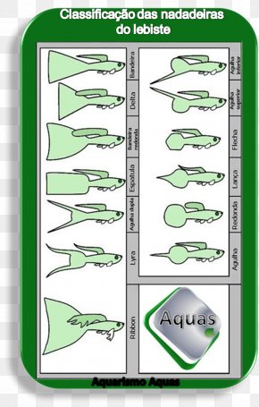 Design - Product Design Product Design Line Plants PNG