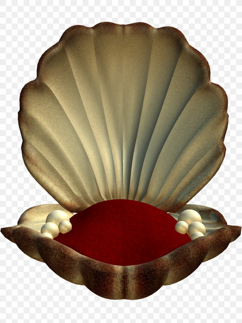 Seashell Download, PNG, 1200x1600px, Seashell, Beach, Bowl, Deep Sea, Deviantart Download Free