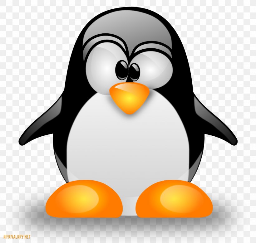 Linux System Administrator Unix Computer Software, PNG, 1110x1055px, Linux, Beak, Bird, Command, Commandline Interface Download Free