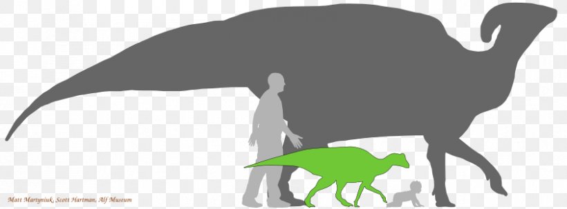 Parasaurolophus Hadrosaurus Lambeosaurus Dinosaur Size, PNG, 842x312px, Parasaurolophus, Beak, Bird, Black And White, Cretaceous Download Free