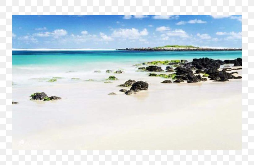 Sea Caribbean Beach Coast Ocean, PNG, 800x533px, Sea, Beach, Caribbean, Coast, Coastal And Oceanic Landforms Download Free