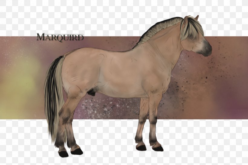 Mane Mustang Stallion Mare Pony, PNG, 900x600px, Mane, Bridle, Dog Harness, Halter, Horse Download Free
