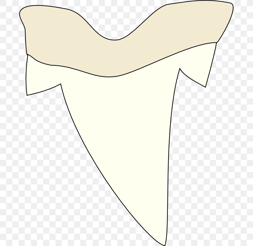 Shark Tooth Clip Art, PNG, 695x800px, Watercolor, Cartoon, Flower, Frame, Heart Download Free