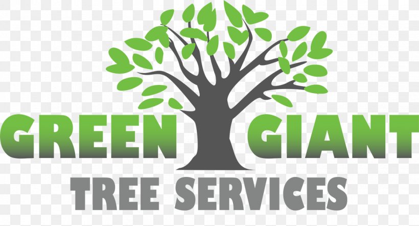 Green Giant Tree Services Pruning Trunk Hurricane-proof Building, PNG, 1133x612px, Tree, Brand, Company, Florida, Grass Download Free