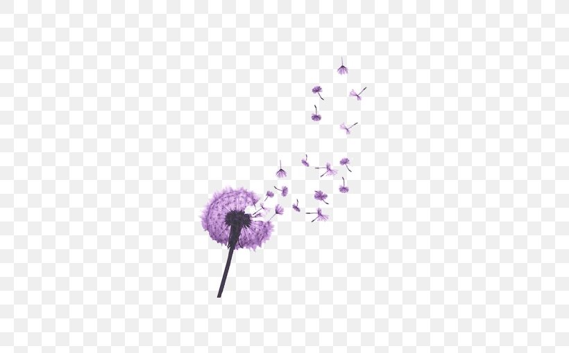 Purple Dandelion, PNG, 510x510px, Common Dandelion, Abziehtattoo, Body Art, Dandelion, Drawing Download Free