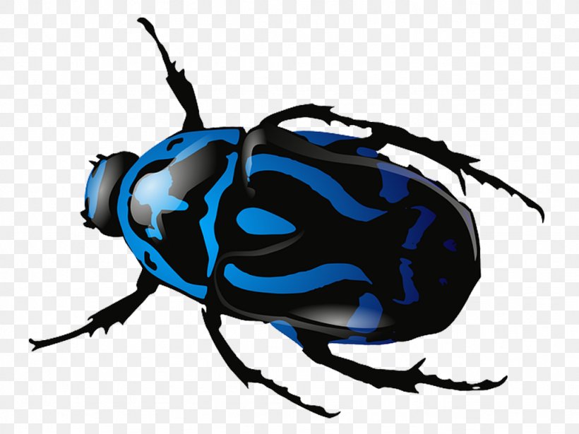 Beetle Clip Art, PNG, 1024x768px, Beetle, Arthropod, Dung Beetle, Fly, Insect Download Free