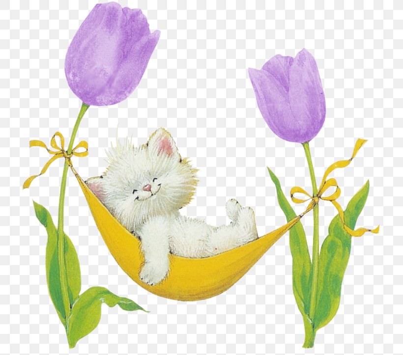 Cat Afrikaans Whiskers Kitten Pin, PNG, 750x723px, Cat, Afrikaans, Cat Lady, Cat Like Mammal, Floral Design Download Free