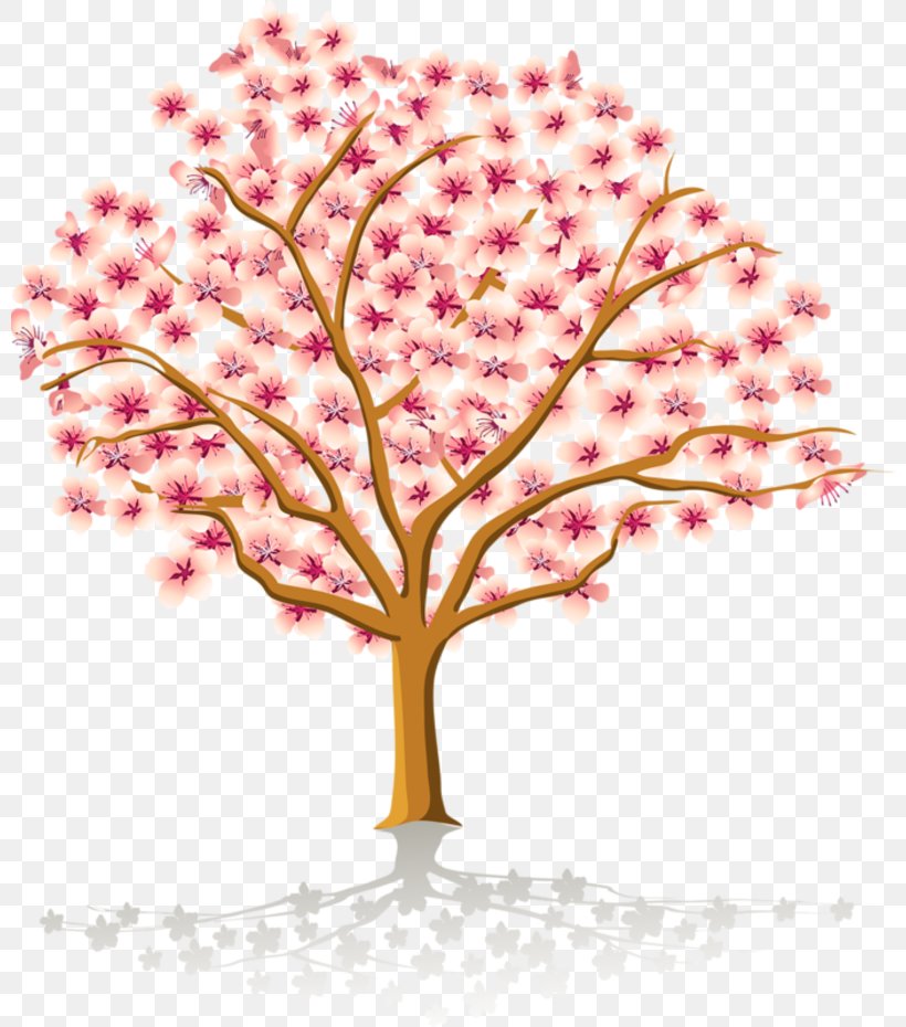 Clip Art, PNG, 800x930px, Document, Blossom, Branch, Cherry Blossom, Flower Download Free
