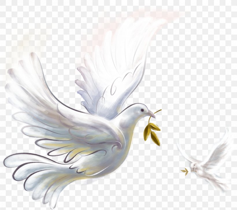 Pigeons And Doves Domestic Pigeon Doves As Symbols Peace Image, PNG, 1200x1067px, Pigeons And Doves, Art, Beak, Bird, Bird Of Prey Download Free