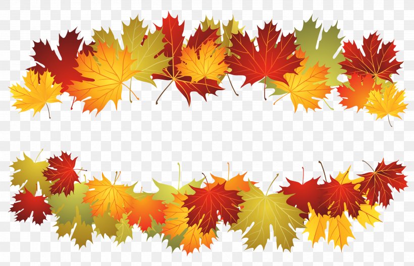 Toronto Maple Leafs Autumn, PNG, 3438x2216px, Toronto Maple Leafs, Autumn, Autumn Leaf Color, Color, Flowering Plant Download Free