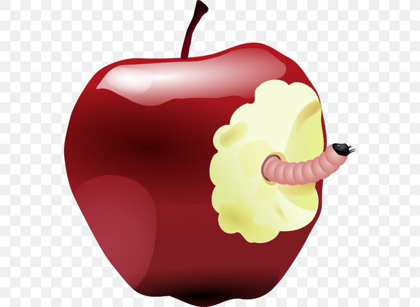 Worm Apple Clip Art, PNG, 570x598px, Worm, Apple, Food, Fruit, Heart Download Free