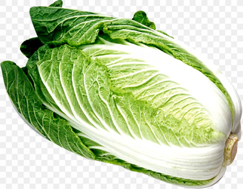 Chinese Cabbage Chinese Cuisine Vegetable Napa Cabbage, PNG, 943x734px, Cabbage, Bok Choy, Brassica Oleracea, Chinese Cabbage, Chinese Cuisine Download Free