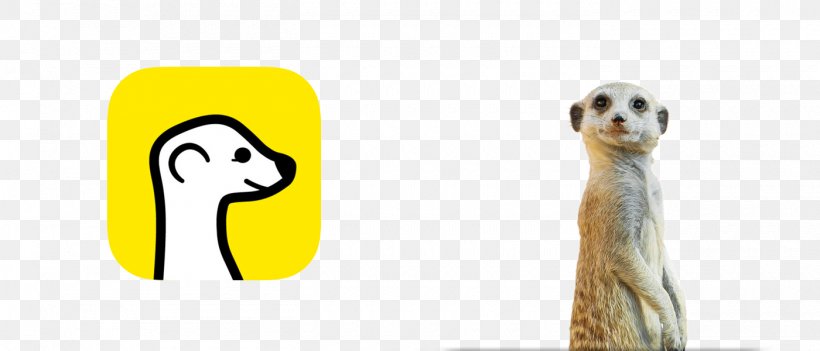 Compare The Meerkat Logo, PNG, 1400x600px, Meerkat, Carnivora, Carnivoran, Compare The Meerkat, Finger Download Free